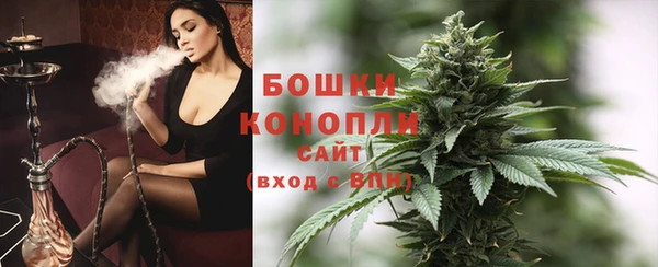 мдпв Дмитриев