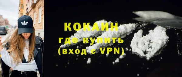 мдпв Дмитриев