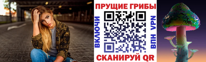 Купить закладки  Кизилюрт  Псилоцибиновые грибы мицелий 